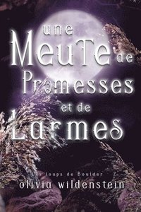 bokomslag Meute de Promesses et de Larmes