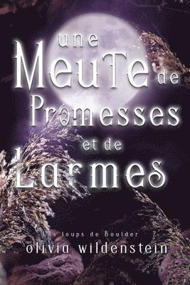 Olivia Wildenstein - Meute de Promesses et de Larmes, Häftad