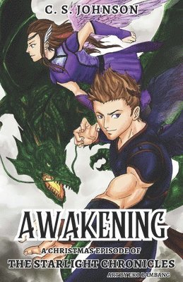 bokomslag Awakening