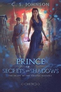 bokomslag Prince of Secrets and Shadows