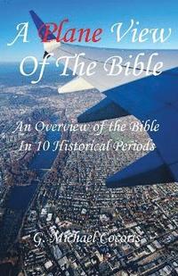 bokomslag Plane View of the Bible