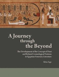 bokomslag Journey through the Beyond