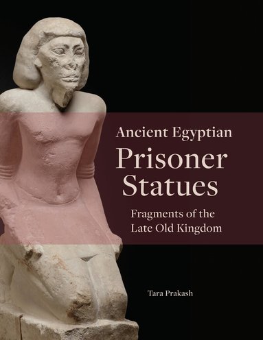 Tara Prakash - Ancient Egyptian Prisoner Statues, Inbunden