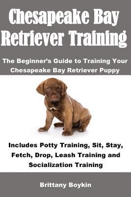 bokomslag Chesapeake Bay Retriever Training