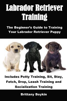 bokomslag Labrador Retriever Training