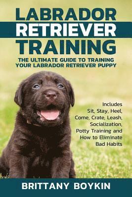 Labrador Retriever Training 1