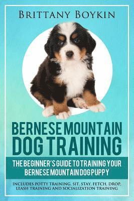 Bernese Mountain Dog Training 1