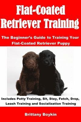 Flat-Coated Retriever Training 1