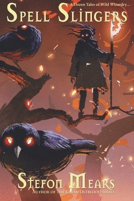 Stefon Mears - Spell Slingers, Häftad