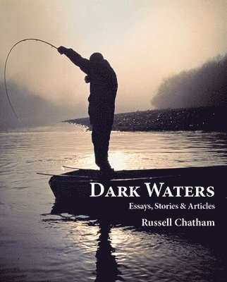 bokomslag Dark Waters: Essays, Stories, & Articles