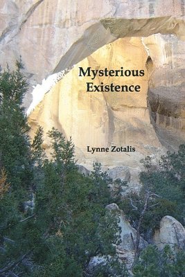 Mysterious Existence 1