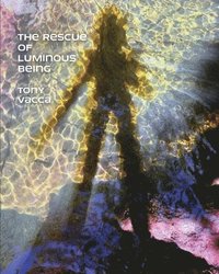 bokomslag Rescue of Luminous Being