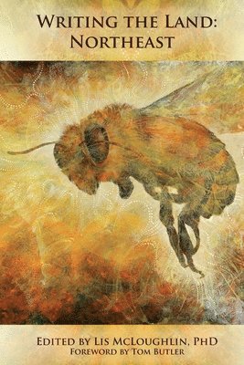 Lis McLoughlin - Writing the Land, Häftad