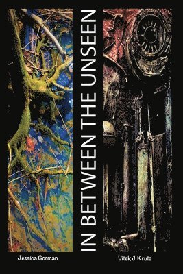 bokomslag InBetween The Unseen