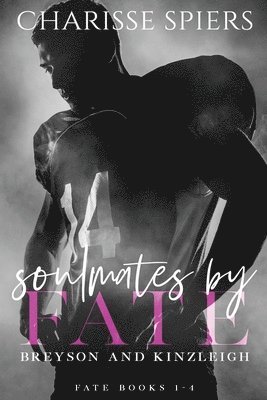 bokomslag Soulmates by Fate (Fate, #1-4)