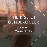 bokomslag The Rise of Genderqueer