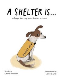 bokomslag Shelter Is...
