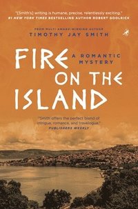 bokomslag Fire on the Island: A Romantic Mystery