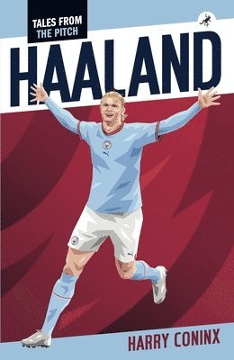 Harry Coninx - Haaland, Häftad