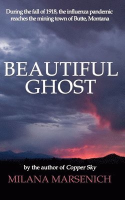 bokomslag Beautiful Ghost