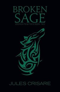 bokomslag Broken Sage