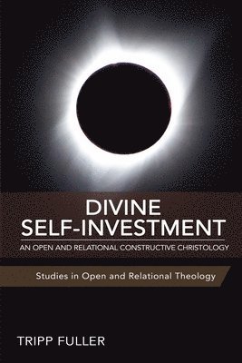 bokomslag Divine Self-Investment: An Open and Relational Constructive Christology