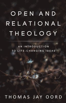 bokomslag Open and Relational Theology