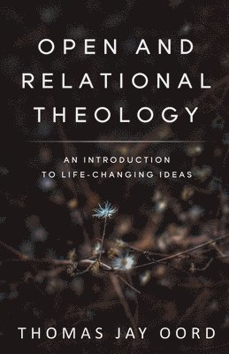 bokomslag Open and Relational Theology