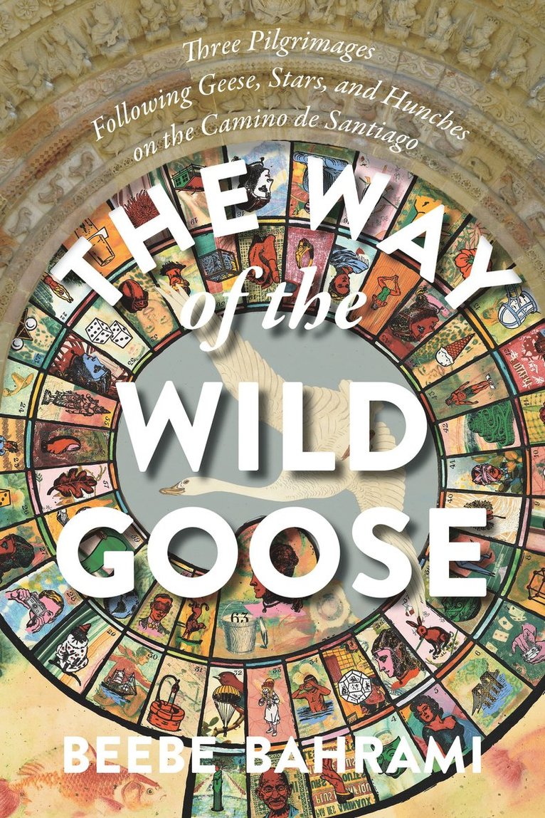 Way of the Wild Goose