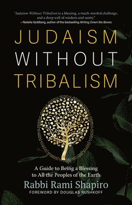 bokomslag Judaism Without Tribalism