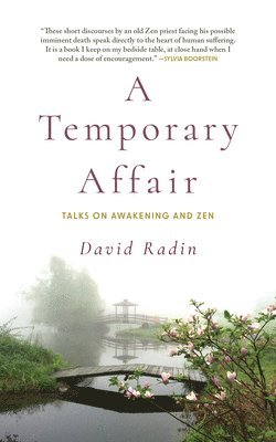 David Radin - Temporary Affair, Häftad
