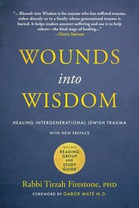 bokomslag Wounds into Wisdom