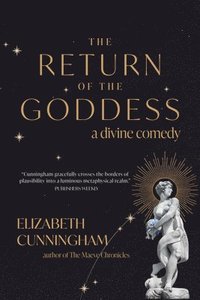 bokomslag Return of the Goddess