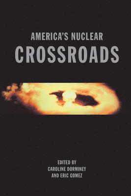 bokomslag America's Nuclear Crossroads