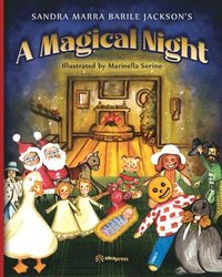 bokomslag A Magical Night