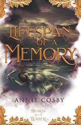 Lifespan of a Memory 1