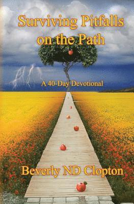 Bevery Nd Clopton, Bevery ND Clopton - Surviving Pitfalls on the Path, Häftad