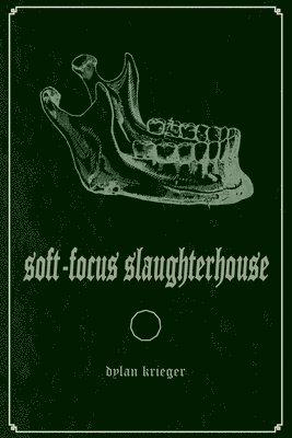 Soft-Focus Slaughterhouse 1