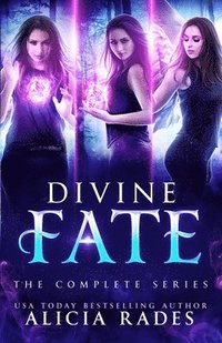 bokomslag Divine Fate