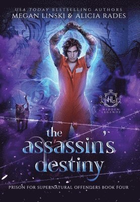 bokomslag Assassin's Destiny