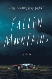 bokomslag Fallen Mountains