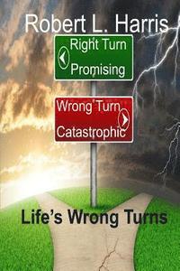 bokomslag Life's Wrong Turns