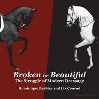 bokomslag Broken or Beautiful