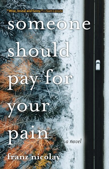 Franz Nicolay - Someone Should Pay for Your Pain, Häftad