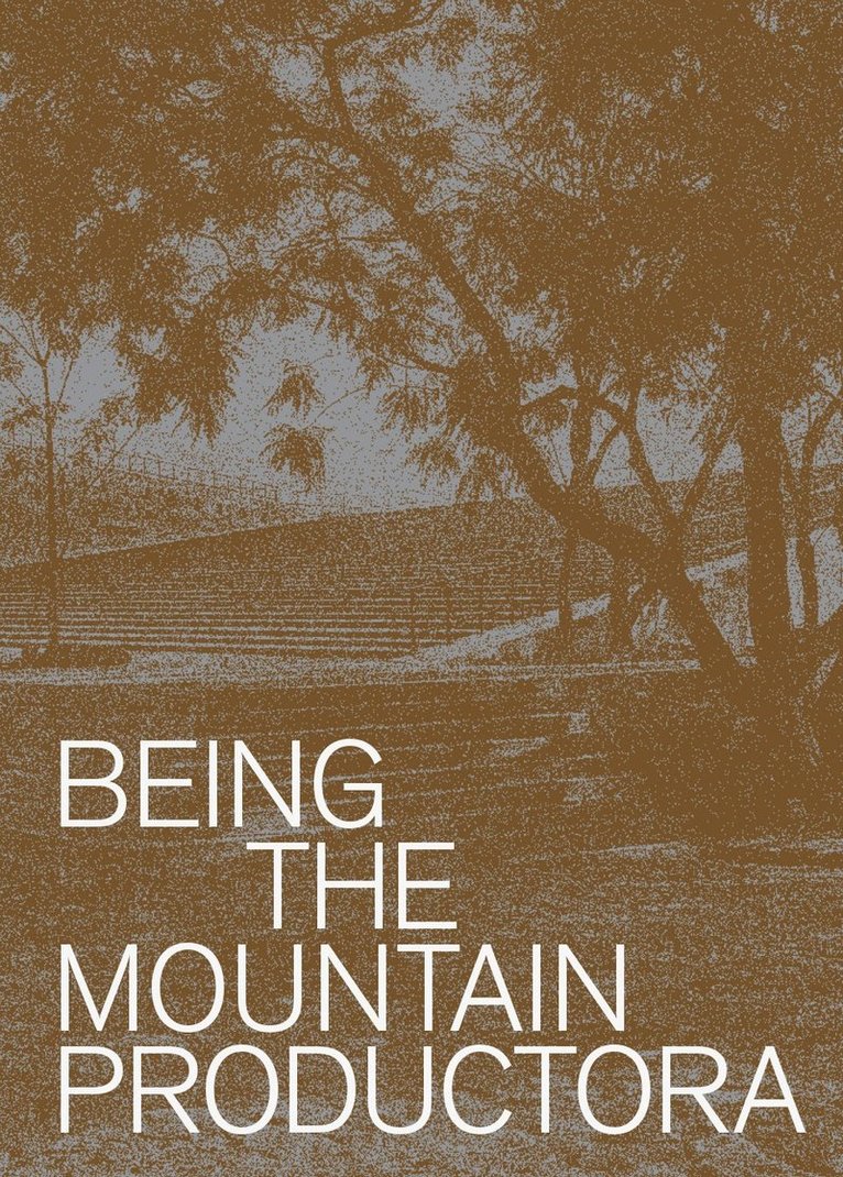 Carlos Bedoya, Wonne Ickx, Victor Jaime, Abel Perles, Jesus Vassallo - Being the Mountain, Inbunden