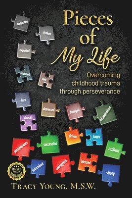 bokomslag Pieces of My Life: Overcoming Childhood Trauma Through Perseverance