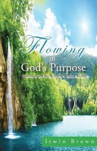 bokomslag Flowing in God's Purpose: Discerning God's Big Picture in Spiritual Warfare