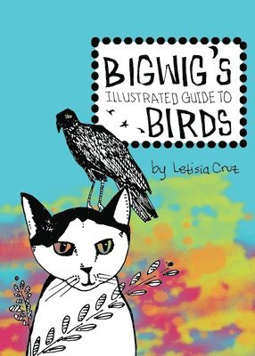 Bigwig's Illustrated Guide to Birds 1