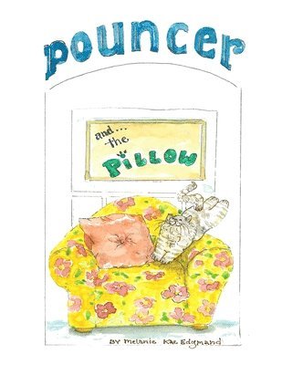 Pouncer and the Pillow 1