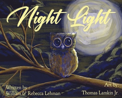 William Lehman, Rebecca William - Night Light, Inbunden